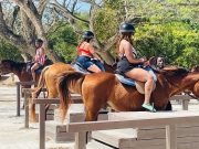 Horseback Riding